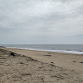 IMG 20230520 152849