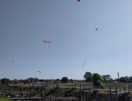 IMG 20230519 105138~2