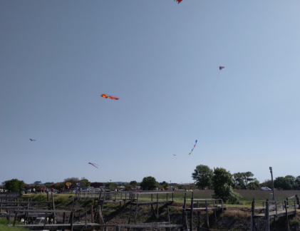 IMG 20230519 105138