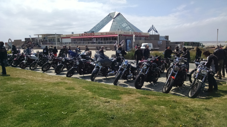 IMG_20150515_151159237.jpg